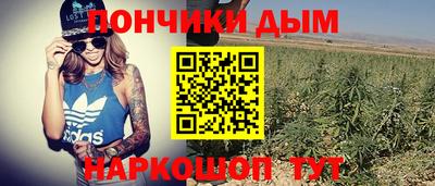 индика Гусев
