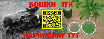индика Гусев