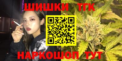 индика Гусев
