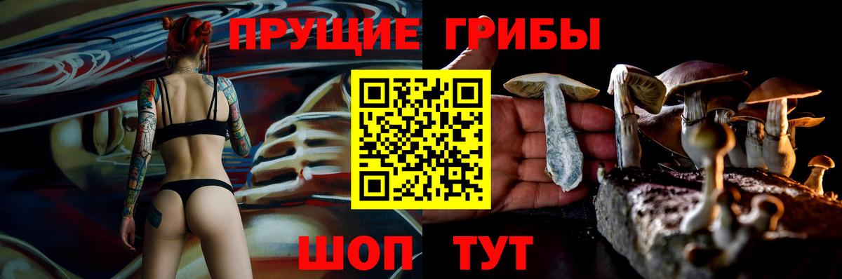 Галлюциногенные грибы Psilocybe  Вход с VPN  Минеральные Воды 